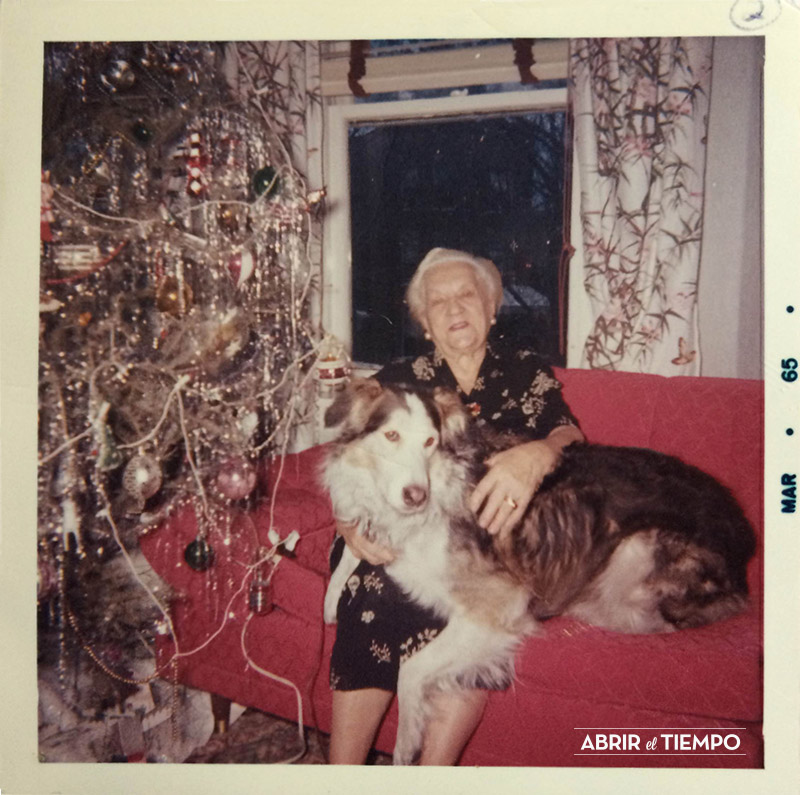 Abrir el tiempo - Navidad de perros - 1